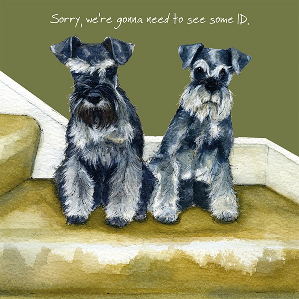 Beautiful schnauzers best sale