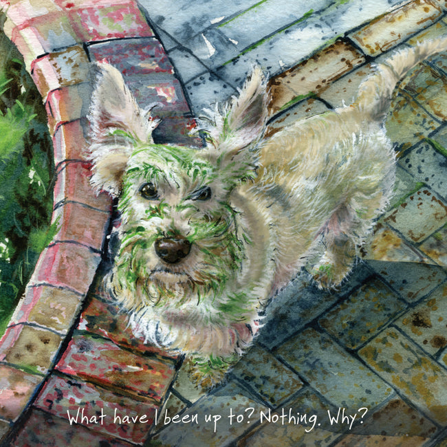 Wheaten Scottie Dog Greeting Card