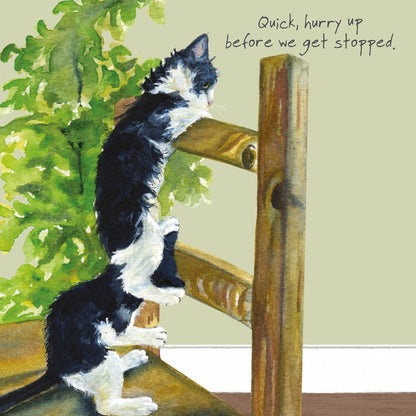 Kittens Greeting Card