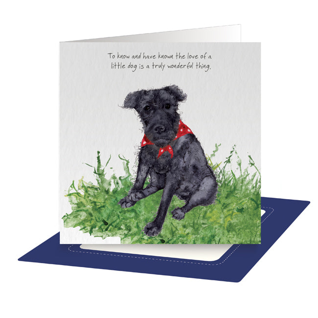 Patterdale Terrier Greeting Card