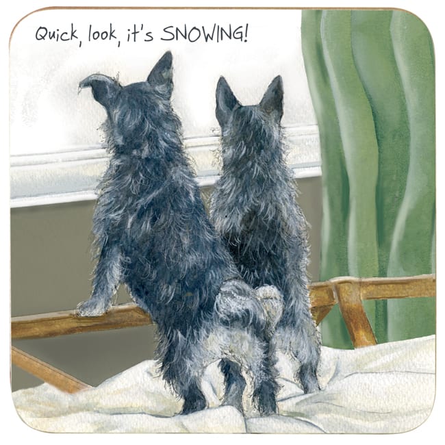 Terrier coaster  Snow day