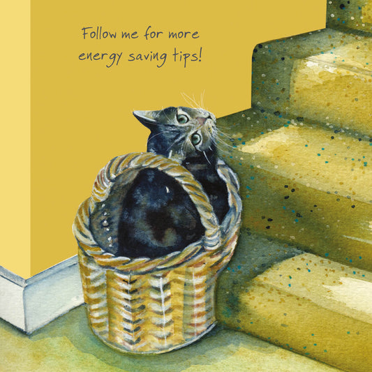 Tabby Cat Greeting Card