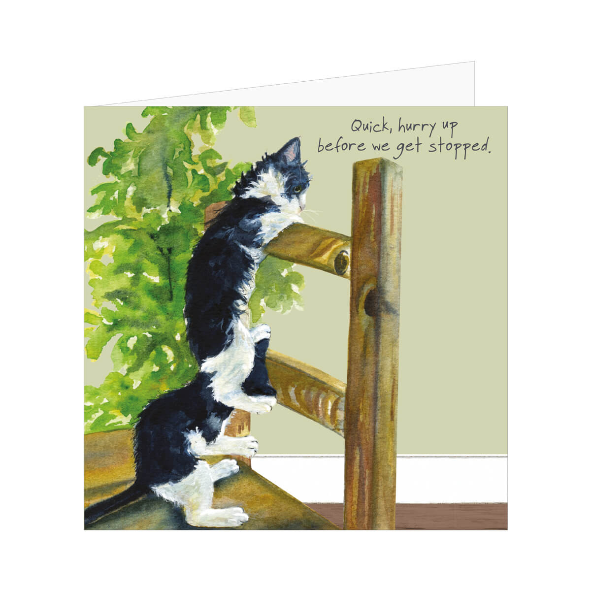 Kittens Greeting Card