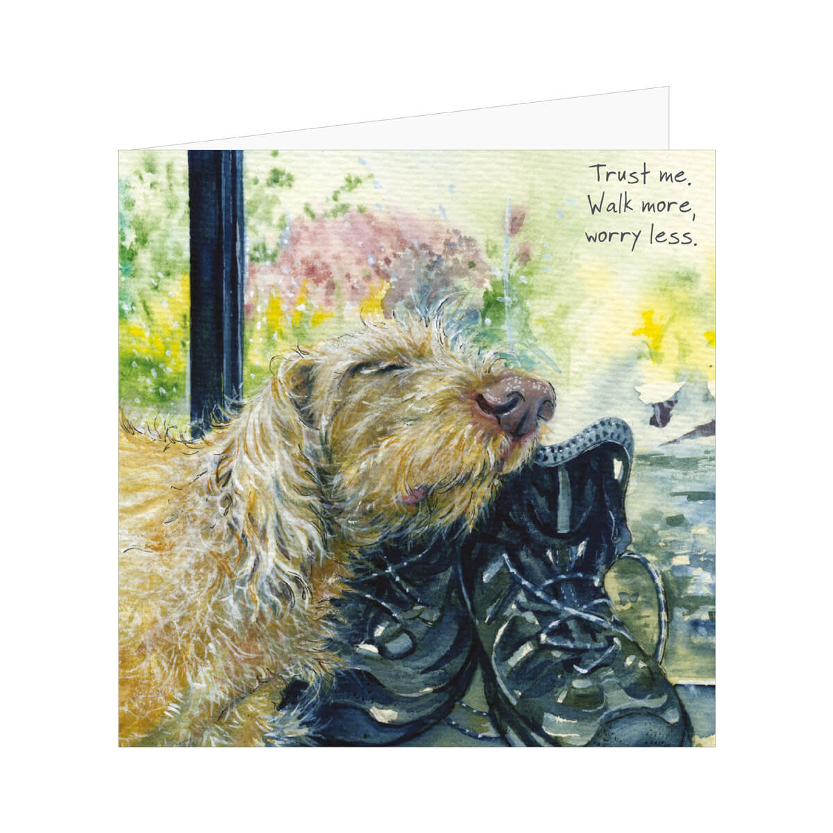 Wirehair Hungarian Vizsla Greeting Card