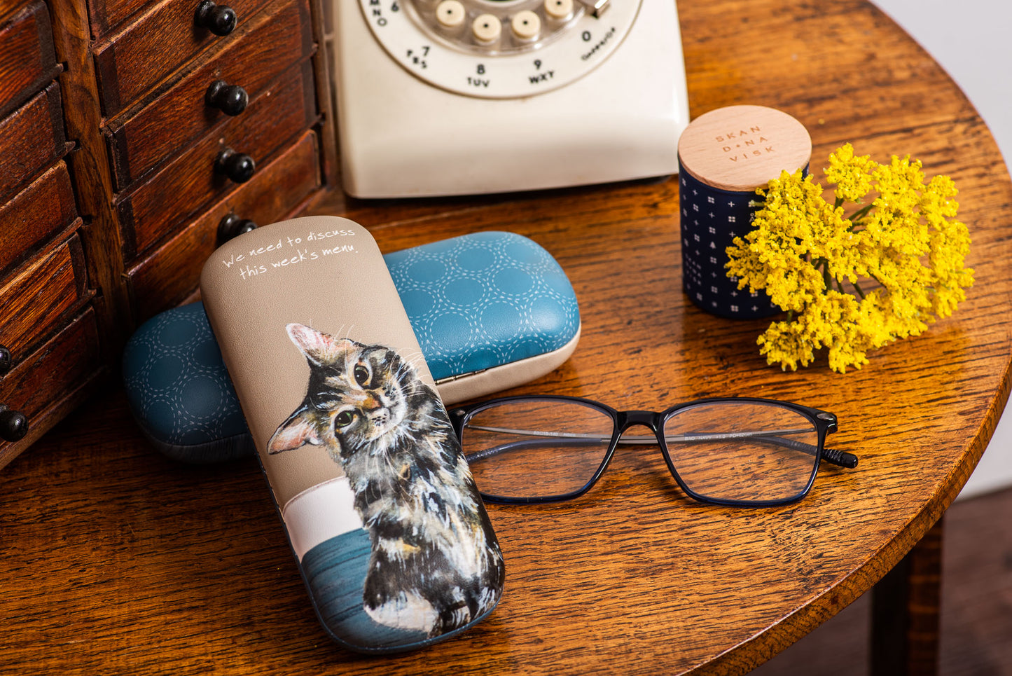 Tabby Cat Glasses Case