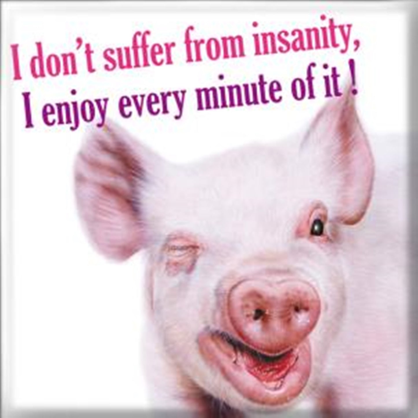 Fridge Magnet - MT107 - I don't suffer from insanity