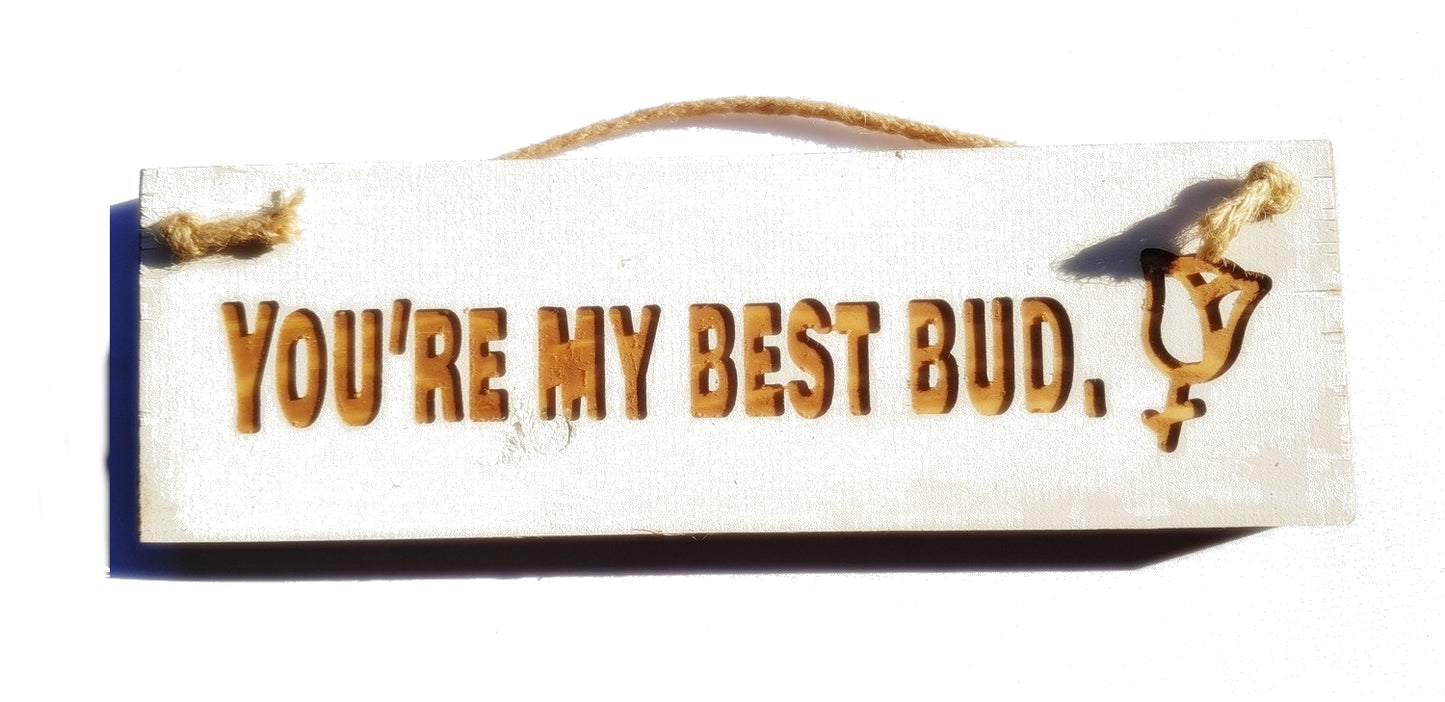 Wooden engraved Rustic 30cm Sign White  "You're my best bud"