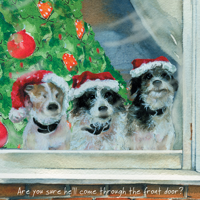 Terrier Christmas Card ? Front Door