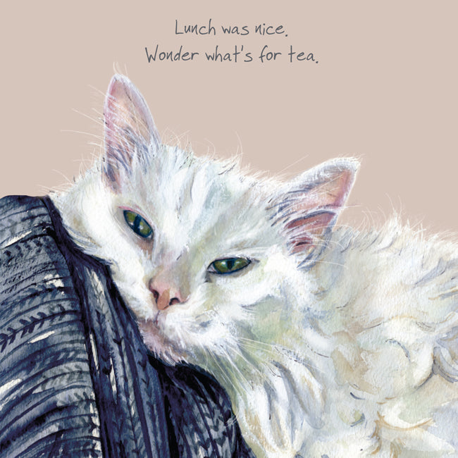 Maine Coon Cat Greeting Card