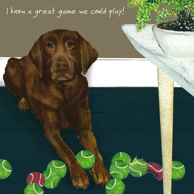 Chocolate Labrador Greeting Card ? Great Game